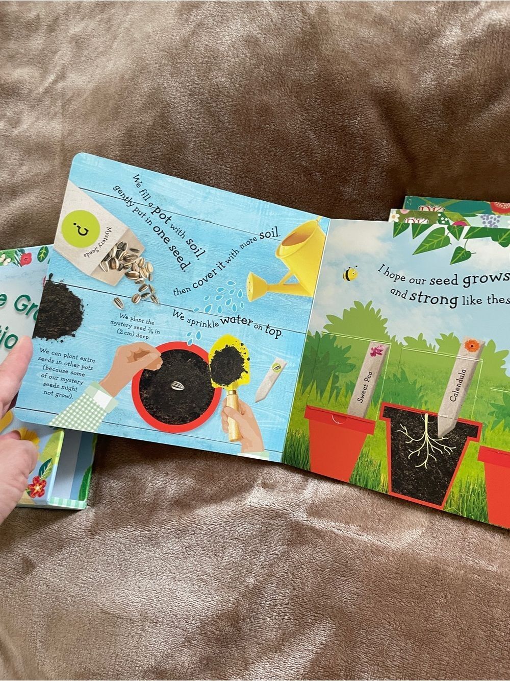 DK Kids Books Watch Me Grow Collection Nature Exploration Lifecycle Early Reader - Picture 5 of 13
